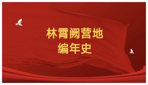 《林霄阙编年史》